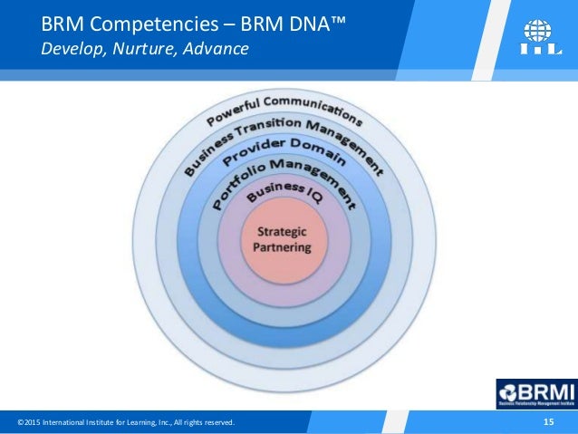 Brm Relationship Maturity – Brm Metrics Pdf – BFJLPT
