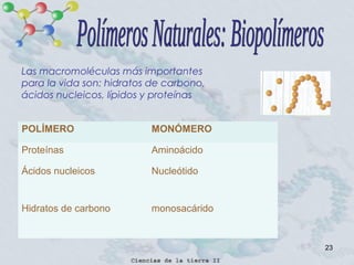 23
POLÍMERO MONÓMERO
Proteínas Aminoácido
Ácidos nucleicos Nucleótido
Hidratos de carbono monosacárido
Las macromoléculas más importantes
para la vida son: hidratos de carbono,
ácidos nucleicos, lípidos y proteínas
 