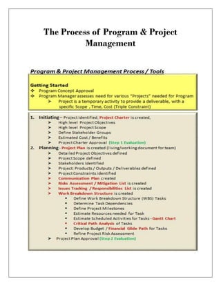The Process of Program & Project
Management
 