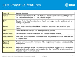Big Data, Data and Information Mining for Earth Observation | PPTX