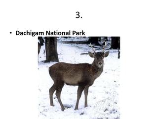 3.
• Dachigam National Park
 