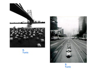 S.
Tunic
S.
Tunic
 