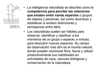 • La inteligencia naturalista se describe como la
competencia para percibir las relaciones
que existen entre varias especies o grupos
de objetos y personas, así como reconocer y
establecer si existen distinciones y
semejanzas entre ellos.
• Los naturalistas suelen ser hábiles para
observar, identificar y clasificar a los
miembros de un grupo o especie, e incluso,
para descubrir nuevas especies. Su campo
de observación más afín es el mundo natural,
donde pueden reconocer flora, fauna y utilizar
productivamente sus habilidades en
actividades de caza, ciencias biológicas y
conservación de la naturaleza.

 