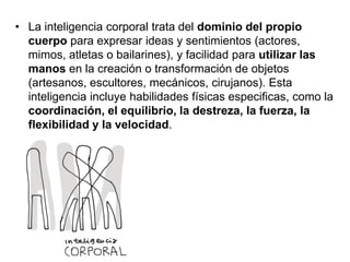 • La inteligencia corporal trata del dominio del propio
cuerpo para expresar ideas y sentimientos (actores,
mimos, atletas o bailarines), y facilidad para utilizar las
manos en la creación o transformación de objetos
(artesanos, escultores, mecánicos, cirujanos). Esta
inteligencia incluye habilidades físicas especificas, como la
coordinación, el equilibrio, la destreza, la fuerza, la
flexibilidad y la velocidad.

 