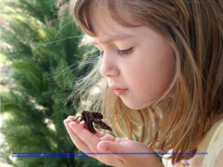 h#p://www.crecerfeliz.es/var/ezﬂow_site/storage/images/ninos/ocio/los-­‐mejores-­‐campamentos-­‐urbanos-­‐para-­‐los-­‐peques/campamentos-­‐urbanos-­‐contacto-­‐con-­‐la-­‐naturaleza/1369914-­‐1-­‐esl-­‐ES/
Campamentos-­‐urbanos-­‐Contacto-­‐con-­‐la-­‐naturaleza_ar-culo_landscape.jpg	
  
 