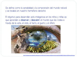 Se define como la sensibilidad y la comprensión del mundo natural
y se localiza en nuestro hemisferio derecho.
El objetivo para desarrollar esta inteligencia en los niños y niñas es
que aprendan a observar y descubrir el mundo que les rodea a
través de la vista, el oído, el tacto, el gusto y el olfato.
h#p://inteligenciasmul-ples01.wikispaces.com/ﬁle/view/inteligencia%20naturalista.jpg/343410668/inteligencia%20naturalista.jpg	
  
 