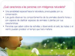 ¿Qué caracteriza a las personas con inteligencia naturalista?
•  Una sensibilidad especial hacia la naturaleza, preocupadas por su
conservación..
•  Les gusta observar los comportamientos de los animales durante horas y
son capaces de clasificar especies de animales o plantas por sus
características.
•  Personas que saben sobre las estrellas y observando el cielo, las nubes o el
viento pueden predecir el tiempo que hará mañana.
h#p://principedepazcentral.org/wp-­‐content/uploads/2013/05/slide04.jpg	
  
 