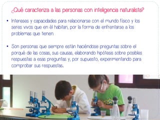 ¿Qué caracteriza a las personas con inteligencia naturalista?
•  Intereses y capacidades para relacionarse con el mundo físico y los
seres vivos que en él habitan, por la forma de enfrentarse a los
problemas que tienen..
•  Son personas que siempre están haciéndose preguntas sobre el
porqué de las cosas, sus causas, elaborando hipótesis sobre posibles
respuestas a esas preguntas y, por supuesto, experimentando para
comprobar sus respuestas.	
  
 