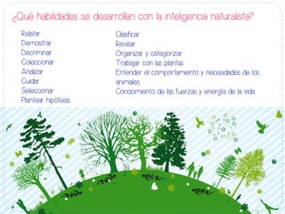 ¿Qué habilidades se desarrollan con la inteligencia naturalista?
Relatar
Demostrar
Discriminar
Coleccionar
Analizar
Cuidar
Seleccionar
Plantear hipótesis
Clasificar
Revisar
Organizar y categorizar
Trabajar con las plantas
Entender el comportamiento y necesidades de los
animales
Conocimiento de las fuerzas y energía de la vida
 