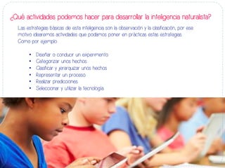 Las estrategias básicas de esta inteligencia son la observación y la clasificación, por ese
motivo idearemos actividades que podamos poner en prácticas estas estrategias.
Como por ejemplo:
•  Diseñar o conducir un experimento.
•  Categorizar unos hechos.
•  Clasificar y jerarquizar unos hechos.
•  Representar un proceso.
•  Realizar predicciones.
•  Seleccionar y utilizar la tecnología.
¿Qué actividades podemos hacer para desarrollar la inteligencia naturalista?
 
