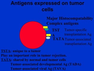 Antigens expressed on tumor
cells
Major Histocompatability
Complex antigens
TST
A
TATA
TSTA: unique to a tumor
Play an important role in tumor rejection.
TATA: shared by normal and tumor cells
Tumor-associated developmental Ag (TADA)
Tumor-associated viral Ag (TAVA)
Tumor-specific
transplantation Ag
Tumor-associated
transplantation Ag
 