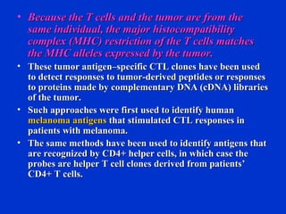 • Because the T cells and the tumor are from theBecause the T cells and the tumor are from the
same individual, the major histocompatibilitysame individual, the major histocompatibility
complex (MHC) restriction of the T cells matchescomplex (MHC) restriction of the T cells matches
the MHC alleles expressed by the tumor.the MHC alleles expressed by the tumor.
• These tumor antigen–specific CTL clones have been usedThese tumor antigen–specific CTL clones have been used
to detect responses to tumor-derived peptides or responsesto detect responses to tumor-derived peptides or responses
to proteins made by complementary DNA (cDNA) librariesto proteins made by complementary DNA (cDNA) libraries
of the tumor.of the tumor.
• Such approaches were first used to identify humanSuch approaches were first used to identify human
melanoma antigensmelanoma antigens that stimulated CTL responses inthat stimulated CTL responses in
patients with melanoma.patients with melanoma.
• The same methods have been used to identify antigens thatThe same methods have been used to identify antigens that
are recognized by CD4+ helper cells, in which case theare recognized by CD4+ helper cells, in which case the
probes are helper T cell clones derived from patients’probes are helper T cell clones derived from patients’
CD4+ T cells.CD4+ T cells.
 