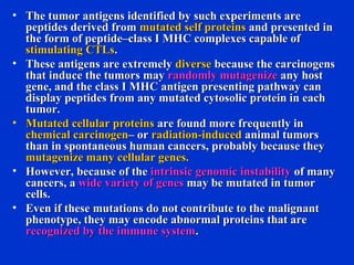 • The tumor antigens identified by such experiments areThe tumor antigens identified by such experiments are
peptides derived frompeptides derived from mutated self proteinsmutated self proteins and presented inand presented in
the form of peptide–class I MHC complexes capable ofthe form of peptide–class I MHC complexes capable of
stimulating CTLsstimulating CTLs..
• These antigens are extremelyThese antigens are extremely diversediverse because the carcinogensbecause the carcinogens
that induce the tumors maythat induce the tumors may randomly mutagenizerandomly mutagenize any hostany host
gene, and the class I MHC antigen presenting pathway cangene, and the class I MHC antigen presenting pathway can
display peptides from any mutated cytosolic protein in eachdisplay peptides from any mutated cytosolic protein in each
tumor.tumor.
• Mutated cellular proteinsMutated cellular proteins are found more frequently inare found more frequently in
chemical carcinogenchemical carcinogen– or– or radiation-inducedradiation-induced animal tumorsanimal tumors
than in spontaneous human cancers, probably because theythan in spontaneous human cancers, probably because they
mutagenize many cellular genes.mutagenize many cellular genes.
• However, because of theHowever, because of the intrinsic genomic instabilityintrinsic genomic instability of manyof many
cancers, acancers, a wide variety of geneswide variety of genes may be mutated in tumormay be mutated in tumor
cells.cells.
• Even if these mutations do not contribute to the malignantEven if these mutations do not contribute to the malignant
phenotype, they may encode abnormal proteins that arephenotype, they may encode abnormal proteins that are
recognized by the immune systemrecognized by the immune system..
 