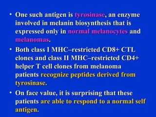 • One such antigen isOne such antigen is tyrosinasetyrosinase, an enzyme, an enzyme
involved in melanin biosynthesis that isinvolved in melanin biosynthesis that is
expressed only inexpressed only in normal melanocytesnormal melanocytes andand
melanomasmelanomas..
• Both class I MHC–restricted CD8+ CTLBoth class I MHC–restricted CD8+ CTL
clones and class II MHC–restricted CD4+clones and class II MHC–restricted CD4+
helper T cell clones from melanomahelper T cell clones from melanoma
patientspatients recognize peptides derived fromrecognize peptides derived from
tyrosinase.tyrosinase.
• On face value, it is surprising that theseOn face value, it is surprising that these
patientspatients are able to respond to a normal selfare able to respond to a normal self
antigen.antigen.
 