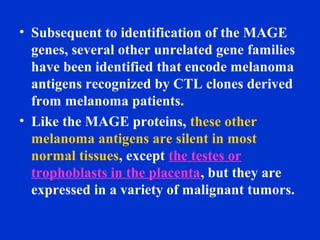 • Subsequent to identification of the MAGE
genes, several other unrelated gene families
have been identified that encode melanoma
antigens recognized by CTL clones derived
from melanoma patients.
• Like the MAGE proteins, these other
melanoma antigens are silent in most
normal tissues, except the testes or
trophoblasts in the placenta, but they are
expressed in a variety of malignant tumors.
 