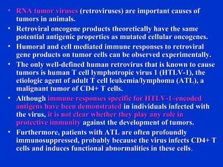 • RNA tumor virusesRNA tumor viruses (retroviruses) are important causes of(retroviruses) are important causes of
tumors in animals.tumors in animals.
• Retroviral oncogene products theoretically have the sameRetroviral oncogene products theoretically have the same
potential antigenic properties as mutated cellular oncogenes.potential antigenic properties as mutated cellular oncogenes.
• Humoral and cell mediated immune responses to retroviralHumoral and cell mediated immune responses to retroviral
gene products on tumor cells can be observed experimentally.gene products on tumor cells can be observed experimentally.
• The only well-defined human retrovirus that is known to causeThe only well-defined human retrovirus that is known to cause
tumors is human T cell lymphotropic virus 1 (HTLV-1), thetumors is human T cell lymphotropic virus 1 (HTLV-1), the
etiologic agent of adult T cell leukemia/lymphoma (ATL), aetiologic agent of adult T cell leukemia/lymphoma (ATL), a
malignant tumor of CD4+ T cells.malignant tumor of CD4+ T cells.
• AlthoughAlthough immune responses specific for HTLV-1–encodedimmune responses specific for HTLV-1–encoded
antigens have been demonstratedantigens have been demonstrated in individuals infected within individuals infected with
the virus,the virus, it is not clear whether they play any role init is not clear whether they play any role in
protective immunityprotective immunity against the development of tumors.against the development of tumors.
• Furthermore, patients with ATL are often profoundlyFurthermore, patients with ATL are often profoundly
immunosuppressed, probably because the virus infects CD4+ Timmunosuppressed, probably because the virus infects CD4+ T
cells and induces functional abnormalities in these cellscells and induces functional abnormalities in these cells.
 