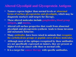 Altered Glycolipid and Glycoprotein Antigens
• Tumors express higher than normal levels orTumors express higher than normal levels or abnormalabnormal
forms of surface glycoproteins and glycolipidsforms of surface glycoproteins and glycolipids, which may be, which may be
diagnostic markers and targets for therapy.diagnostic markers and targets for therapy.
• These altered molecules includeThese altered molecules include gangliosidesgangliosides,, blood groupblood group
antigensantigens, and, and mucinsmucins..
• Altered cell surface properties that result from abnormalAltered cell surface properties that result from abnormal
glycolipid and glycoprotein synthesis leads to tissue invasionglycolipid and glycoprotein synthesis leads to tissue invasion
and metastatic behavior.and metastatic behavior.
• ManyMany antibodiesantibodies have been raised in animals thathave been raised in animals that recognizerecognize
the carbohydrate groups or peptide cores of these moleculesthe carbohydrate groups or peptide cores of these molecules..
• Although most of the epitopes recognized by these antibodiesAlthough most of the epitopes recognized by these antibodies
are not specifically expressed on tumors, they are present atare not specifically expressed on tumors, they are present at
higher levels on cancer cells than on normal cells.higher levels on cancer cells than on normal cells.
• It is a target forIt is a target for cancer therapycancer therapy with specific antibodies.with specific antibodies.
 