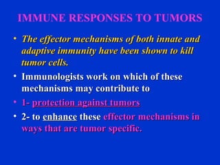 IMMUNE RESPONSES TO TUMORS
• The effector mechanisms of both innate andThe effector mechanisms of both innate and
adaptive immunity have been shown to killadaptive immunity have been shown to kill
tumor cells.tumor cells.
• Immunologists work on which of theseImmunologists work on which of these
mechanisms may contribute tomechanisms may contribute to
• 1-1- protection against tumorsprotection against tumors
• 2- to2- to enhanceenhance thesethese effector mechanisms ineffector mechanisms in
ways that are tumor specific.ways that are tumor specific.
 