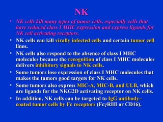 NKNK
• NK cells kill many types of tumor cells, especially cells thatNK cells kill many types of tumor cells, especially cells that
have reduced class I MHC expression and express ligands forhave reduced class I MHC expression and express ligands for
NK cell activating receptors.NK cell activating receptors.
• NK cells can killNK cells can kill virally infected cellsvirally infected cells and certainand certain tumor celltumor cell
lines.lines.
• NK cells also respond to the absence of class I MHCNK cells also respond to the absence of class I MHC
molecules because themolecules because the recognitionrecognition of class I MHC moleculesof class I MHC molecules
deliversdelivers inhibitory signals to NK cellsinhibitory signals to NK cells..
• Some tumors lose expression of class I MHC molecules thatSome tumors lose expression of class I MHC molecules that
makes the tumors good targets for NK cells.makes the tumors good targets for NK cells.
• Some tumors also expressSome tumors also express MIC-A, MIC-B, and ULBMIC-A, MIC-B, and ULB, which, which
are ligands for the NKG2D activating receptor on NK cells.are ligands for the NKG2D activating receptor on NK cells.
• In addition, NK cells can be targeted toIn addition, NK cells can be targeted to IgG antibody–IgG antibody–
coated tumor cells by Fc receptorscoated tumor cells by Fc receptors (FcγRIII or CD16).(FcγRIII or CD16).
 