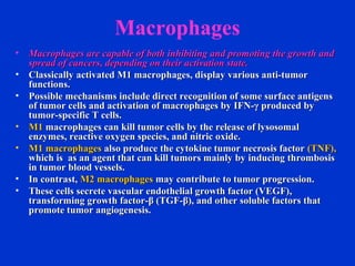 Macrophages
• Macrophages are capable of both inhibiting and promoting the growth andMacrophages are capable of both inhibiting and promoting the growth and
spread of cancers, depending on their activation state.spread of cancers, depending on their activation state.
• Classically activated M1 macrophages, display various anti-tumorClassically activated M1 macrophages, display various anti-tumor
functions.functions.
• Possible mechanisms include direct recognition of some surface antigensPossible mechanisms include direct recognition of some surface antigens
of tumor cells and activation of macrophages by IFN-γ produced byof tumor cells and activation of macrophages by IFN-γ produced by
tumor-specific T cells.tumor-specific T cells.
• M1M1 macrophages can kill tumor cells by the release of lysosomalmacrophages can kill tumor cells by the release of lysosomal
enzymes, reactive oxygen species, and nitric oxide.enzymes, reactive oxygen species, and nitric oxide.
• M1 macrophagesM1 macrophages also produce the cytokine tumor necrosis factoralso produce the cytokine tumor necrosis factor (TNF),(TNF),
which is as an agent that can kill tumors mainly by inducing thrombosiswhich is as an agent that can kill tumors mainly by inducing thrombosis
in tumor blood vessels.in tumor blood vessels.
• In contrast,In contrast, M2 macrophagesM2 macrophages may contribute to tumor progression.may contribute to tumor progression.
• These cells secrete vascular endothelial growth factor (VEGF),These cells secrete vascular endothelial growth factor (VEGF),
transforming growth factor-β (TGF-β), and other soluble factors thattransforming growth factor-β (TGF-β), and other soluble factors that
promote tumor angiogenesis.promote tumor angiogenesis.
 