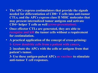• The APCs express costimulators that provide the signalsThe APCs express costimulators that provide the signals
needed for differentiation of CD8+ T cells into anti-tumorneeded for differentiation of CD8+ T cells into anti-tumor
CTLs, and the APCs express class II MHC molecules thatCTLs, and the APCs express class II MHC molecules that
may present internalized tumor antigens and activatemay present internalized tumor antigens and activate
CD4+ helper T cells as wellCD4+ helper T cells as well (cross-presentation).(cross-presentation).
• Once effector CTLs are generated, they are able toOnce effector CTLs are generated, they are able to
recognize and killrecognize and kill the tumor cells without a requirementthe tumor cells without a requirement
for costimulation.for costimulation.
• A practical application of the concept of cross-priming:A practical application of the concept of cross-priming:
1- Grow dendritic cells from a patient with cancer1- Grow dendritic cells from a patient with cancer,,
2- incubate the APCs with the cells or antigens from that2- incubate the APCs with the cells or antigens from that
patient’s tumor.patient’s tumor.
3- Use these antigen-pulsed APCs3- Use these antigen-pulsed APCs as vaccinesas vaccines to stimulateto stimulate
anti-tumor T cell responses.anti-tumor T cell responses.
 