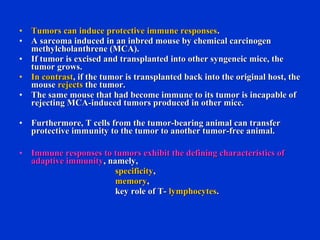 • Tumors can induce protective immune responsesTumors can induce protective immune responses..
• A sarcoma induced in an inbred mouse by chemical carcinogenA sarcoma induced in an inbred mouse by chemical carcinogen
methylcholanthrene (MCA).methylcholanthrene (MCA).
• If tumor is excised and transplanted into other syngeneic mice, theIf tumor is excised and transplanted into other syngeneic mice, the
tumor grows.tumor grows.
• In contrastIn contrast, if the tumor is transplanted back into the original host, the, if the tumor is transplanted back into the original host, the
mousemouse rejectsrejects the tumor.the tumor.
• The same mouse that had become immune to its tumor is incapable ofThe same mouse that had become immune to its tumor is incapable of
rejecting MCA-induced tumors produced in other mice.rejecting MCA-induced tumors produced in other mice.
• Furthermore, T cells from the tumor-bearing animal can transferFurthermore, T cells from the tumor-bearing animal can transfer
protective immunity to the tumor to another tumor-free animal.protective immunity to the tumor to another tumor-free animal.
• Immune responses to tumors exhibit the defining characteristics ofImmune responses to tumors exhibit the defining characteristics of
adaptive immunityadaptive immunity, namely,, namely,
specificityspecificity,,
memorymemory,,
key role of T-key role of T- lymphocyteslymphocytes..
 