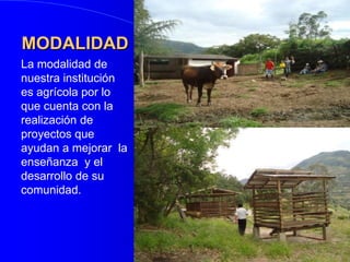 MODALIDADLa modalidad de nuestra institución es agrícola por lo que cuenta con la realización de proyectos que ayudan a mejorar  la enseñanza  y el desarrollo de su comunidad.