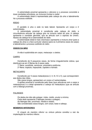A extremidade proximal apresenta o olécrano e o processo coronóide e
duas cavidades articulares, as incisuras troclear e radial.
A extremidade distal é representada pela cabeça da ulna e lateralmente
há o processo estilóide.
RÁDIO
É paralelo à ulna e está no lado lateral. Apresenta um corpo e 2
extremidades.
A extremidade proximal é constituída pela cabeça do rádio, a
circunferência articular da cabeça gira na incisura radial da ulna. A cabeça
apresenta a cavidade glenóide, que se articula com o capítulo do úmero.
Abaixo da cabeça há a tuberosidade do rádio.
A extremidade distal é mais volumosa e apresenta a incisura ulnar (para a
cabeça da ulna) e a face auricular cárpica (para os 2 primeiros ossos do carpo)
e lateralmente o processo estilóide do rádio.
OSSOS DA MÃO
A mão é subdividida em carpo, metacarpo e dedos.
CARPO
Constituído de 8 pequenos ossos, de forma irregularmente cúbica, que
distribuem-se em 2 fileiras de 4 ossos cada.
1a
fileira: escafóide, semilunar, piramidal e pisiforme.
2a
fileira: trapézio, trapezóide, capitato e hamato.
METACARPO
Constituído por 5 ossos metacárpicos (I, II, III, IV e V), que correspondem
aos dedos das mãos.
São ossos longos, apresentam um corpo e 2 extremidades.
A epífise proximal é constituída pela base (que articula-se com o carpo e
metacárpicos) e a distal apresenta a cabeça do metacárpico (que se articula
com a falange proximal).
FALANGES
Os dedos da mão são polegar, índex, médio, anular e mínimo.
Cada dedo apresenta 3 falanges (exceto o polegar).
As falanges são: proximais, médias e distais.
São consideradas ossos longos, com corpo, base e cabeça.
MEMBROS INFERIORES
O cíngulo do membro inferior ou cintura pélvica constitui a raiz da
implantação do membro inferior.
 