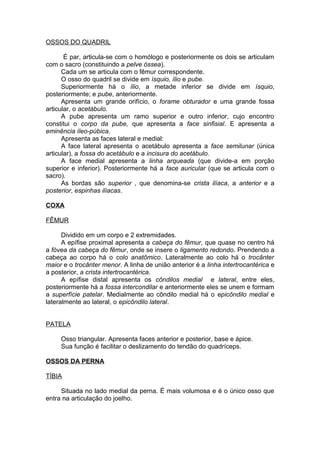 OSSOS DO QUADRIL
É par, articula-se com o homólogo e posteriormente os dois se articulam
com o sacro (constituindo a pelve óssea).
Cada um se articula com o fêmur correspondente.
O osso do quadril se divide em ísquio, ílio e pube.
Superiormente há o ílio, a metade inferior se divide em ísquio,
posteriormente; e pube, anteriormente.
Apresenta um grande orifício, o forame obturador e uma grande fossa
articular, o acetábulo.
A pube apresenta um ramo superior e outro inferior, cujo encontro
constitui o corpo da pube, que apresenta a face sinfisial. E apresenta a
eminência íleo-púbica.
Apresenta as faces lateral e medial:
A face lateral apresenta o acetábulo apresenta a face semilunar (única
articular), a fossa do acetábulo e a incisura do acetábulo.
A face medial apresenta a linha arqueada (que divide-a em porção
superior e inferior). Posteriormente há a face auricular (que se articula com o
sacro).
As bordas são superior , que denomina-se crista ilíaca, a anterior e a
posterior, espinhas ilíacas.
COXA
FÊMUR
Dividido em um corpo e 2 extremidades.
A epífise proximal apresenta a cabeça do fêmur, que quase no centro há
a fóvea da cabeça do fêmur, onde se insere o ligamento redondo. Prendendo a
cabeça ao corpo há o colo anatômico. Lateralmente ao colo há o trocânter
maior e o trocânter menor. A linha de união anterior é a linha intertrocantérica e
a posterior, a crista intertrocantérica.
A epífise distal apresenta os côndilos medial e lateral, entre eles,
posteriormente há a fossa intercondilar e anteriormente eles se unem e formam
a superfície patelar. Medialmente ao côndilo medial há o epicôndilo medial e
lateralmente ao lateral, o epicôndilo lateral.
PATELA
Osso triangular. Apresenta faces anterior e posterior, base e ápice.
Sua função é facilitar o deslizamento do tendão do quadríceps.
OSSOS DA PERNA
TÍBIA
Situada no lado medial da perna. É mais volumosa e é o único osso que
entra na articulação do joelho.
 