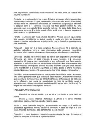 com os parietais, constituindo a sutura coronal. Na união entre os 3 ossos há o
brégma ou moleira.
Occipital - é o mais posterior do crânio. Próximo ao ângulo inferior apresenta o
forame magno (através do qual o encéfalo continua-se com a medula espinhal).
Ao lado deste há 2 saliências articulares, os côndilos do occipital (que articulam
o occipital com a 1ª
vértebra cervical). Na face póstero-inferior há uma
saliência, que é a protuberância occipital externa. De cada lado desta há a
linha nucal superior. E a linha nucal inferior está entre o forame magno e a
protuberância occipital externa.
Parietal – é um osso par, mais simples do crânio. Articula-se com o parietal do
lado oposto, constituindo a sutura sagital e cada um com os temporais
correspondentes. Articulam-se anteriormente com o frontal e posteriormente
com o occipital.
Temporal - osso par, é o mais complexo. No seu interior há o aparelho da
audição. Articula-se com o osso zigomático pelo processo zigomático.
Apresenta inferiormente a fossa mandibular que se articula com a mandíbula.
Esfenóide - situado no centro da base do crânio, com aspecto de um morcego.
Apresenta um corpo, 2 asas maiores, 2 asas menores e 2 processos
pterigóides. O corpo é oco, constituindo o seio esfenoidal, sua face superior
apresenta a sela túrsica (onde se encontra a hipófise). Nas asas maiores há o
forame redondo (onde passa o nervo maxilar), o forame oval (por onde passa o
nervo mandibular) e o forame espinhoso (por onde passa a artéria meníngea
média). Nas asas menores há o canal óptico (por onde passa o nervo óptico).
Etmóide - entra na constituição da maior parte da cavidade nasal. Apresenta
uma lâmina perpendicular, que constitui o septo nasal e uma lâmina horizontal,
que constitui a lâmina crivosa do etmóide (cheia de orifícios para os filetes do
nervo olfatório), que entra na constituição do teto da cavidade nasal e
apresentam as células etmoidais (cavidades esféricas em torno da lâmina). Dá
origem às conchas nasais superior e média.
FACE (ESPLÂNCNOCRÂNIO)
Constitui um maciço ósseo, que se situa por diante e para baixo do
crânio.
Possui 2 ossos ímpares: mandíbula e vômer; e 6 pares: maxilas,
zigomático, palatino, lacrimal, concha nasal e nasal.
Maxila - osso bastante irregular, apresentando um corpo e 4 saliências
(processos zigomático, frontal, palatino e alveolar). A base do corpo é a face
nasal. O corpo da maxila é oco, constituindo o seio maxilar.
Zigomático - osso losângico, constitui a proeminência da face. Apresenta o
processo temporal e frontal e a superfície orbital.
 