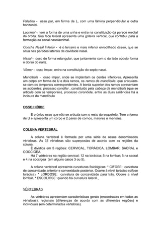 Palatino - osso par, em forma de L, com uma lâmina perpendicular e outra
horizontal.
Lacrimal - tem a forma de uma unha e entra na constituição da parede medial
da órbita. Sua face lateral apresenta uma goteira vertical, que contribui para a
formação do canal nasolacrimal.
Concha Nasal Inferior - é o terceiro e mais inferior enrodilhado ósseo, que se
situa nas paredes laterais da cavidade nasal.
Nasal - osso de forma retangular, que juntamente com o do lado oposto forma
o dorso do nariz.
Vômer - osso ímpar, entra na constituição do septo nasal.
Mandíbula - osso ímpar, onde se implantam os dentes inferiores. Apresenta
um corpo em forma de U e dois ramos, os ramos da mandíbula, que articulam-
se com os temporais correspondentes. A borda superior dos ramos apresentam
os acidentes: processo condilar , constituído pela cabeça da mandíbula (que se
articula com os temporais), processo coronóide, entre as duas saliências há a
incisura da mandíbula
OSSO HIÓIDE
É o único osso que não se articula com o resto do esqueleto. Tem a forma
de U e apresenta um corpo e 2 pares de cornos, maiores e menores.
COLUNA VERTEBRAL
A coluna vertebral é formada por uma série de ossos denominados
vértebras. As 33 vértebras são superpostas de acordo com as regiões da
coluna.
É dividida em 5 regiões: CERVICAL, TORÁCICA, LOMBAR, SACRAL e
COCCÍGEA.
Há 7 vértebras na região cervical; 12 na torácica; 5 na lombar; 5 na sacral
e 4 na coccígea (em alguns casos 3 ou 5).
A coluna vertebral apresenta curvaturas fisiológicas: * CIFOSE: curvatura
de concavidade anterior e convexidade posterior. Ocorre à nível torácico (cifose
torácica). * LORDOSE: curvatura de concavidade para trás. Ocorre a nível
lombar. * ESCOLIOSE: quando há curvatura lateral.
VÉRTEBRAS
As vértebras apresentam características gerais (encontradas em todas as
vértebras), regionais (diferenças de acordo com as diferentes regiões) e
individuais (em determinadas vértebras).
 