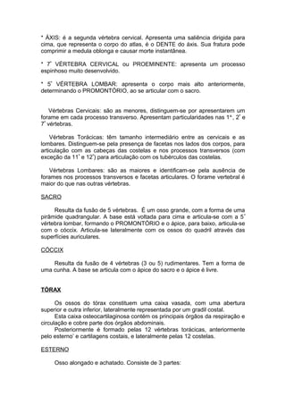 * ÁXIS: é a segunda vértebra cervical. Apresenta uma saliência dirigida para
cima, que representa o corpo do atlas, é o DENTE do áxis. Sua fratura pode
comprimir a medula oblonga e causar morte instantânea.
* 7ª
VÉRTEBRA CERVICAL ou PROEMINENTE: apresenta um processo
espinhoso muito desenvolvido.
* 5ª
VÉRTEBRA LOMBAR: apresenta o corpo mais alto anteriormente,
determinando o PROMONTÓRIO, ao se articular com o sacro.
Vértebras Cervicais: são as menores, distinguem-se por apresentarem um
forame em cada processo transverso. Apresentam particularidades nas 1a.
, 2ª
e
7ª
vértebras.
Vértebras Torácicas: têm tamanho intermediário entre as cervicais e as
lombares. Distinguem-se pela presença de facetas nos lados dos corpos, para
articulação com as cabeças das costelas e nos processos transversos (com
exceção da 11ª
e 12ª
) para articulação com os tubérculos das costelas.
Vértebras Lombares: são as maiores e identificam-se pela ausência de
forames nos processos transversos e facetas articulares. O forame vertebral é
maior do que nas outras vértebras.
SACRO
Resulta da fusão de 5 vértebras. É um osso grande, com a forma de uma
pirâmide quadrangular. A base está voltada para cima e articula-se com a 5ª
vértebra lombar, formando o PROMONTÓRIO e o ápice, para baixo, articula-se
com o cóccix. Articula-se lateralmente com os ossos do quadril através das
superfícies auriculares.
CÓCCIX
Resulta da fusão de 4 vértebras (3 ou 5) rudimentares. Tem a forma de
uma cunha. A base se articula com o ápice do sacro e o ápice é livre.
TÓRAX
Os ossos do tórax constituem uma caixa vasada, com uma abertura
superior e outra inferior, lateralmente representada por um gradil costal.
Esta caixa osteocartilaginosa contém os principais órgãos da respiração e
circulação e cobre parte dos órgãos abdominais.
Posteriormente é formado pelas 12 vértebras torácicas, anteriormente
pelo esterno’ e cartilagens costais, e lateralmente pelas 12 costelas.
ESTERNO
Osso alongado e achatado. Consiste de 3 partes:
 
