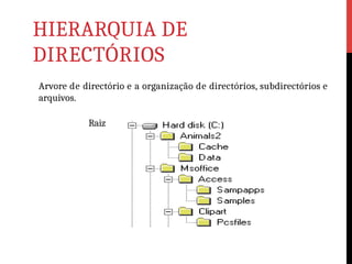 HIERARQUIA DE
DIRECTÓRIOS
Arvore de directório e a organização de directórios, subdirectórios e
arquivos.
Raiz
 