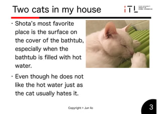 Do you know every cat has four bears?