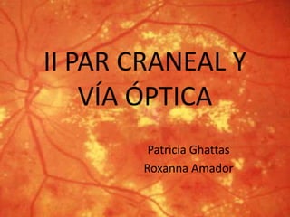 II PAR CRANEAL Y
VÍA ÓPTICA
Patricia Ghattas
Roxanna Amador
 