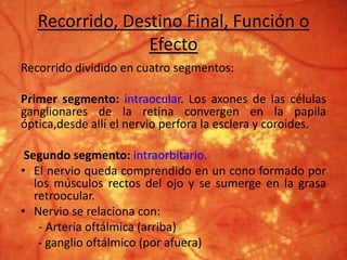 Recorrido, Destino Final, Función o
Efecto
Recorrido dividido en cuatro segmentos:
Primer segmento: intraocular. Los axones de las células
ganglionares de la retina convergen en la papila
óptica,desde allí el nervio perfora la esclera y coroides.
Segundo segmento: intraorbitario.
• El nervio queda comprendido en un cono formado por
los músculos rectos del ojo y se sumerge en la grasa
retroocular.
• Nervio se relaciona con:
- Arteria oftálmica (arriba)
- ganglio oftálmico (por afuera)
 