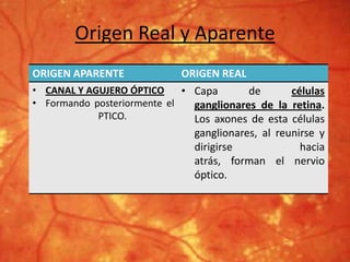 Origen Real y Aparente
ORIGEN APARENTE ORIGEN REAL
• CANAL Y AGUJERO ÓPTICO
• Formando posteriormente el
PTICO.
• Capa de células
ganglionares de la retina.
Los axones de esta células
ganglionares, al reunirse y
dirigirse hacia
atrás, forman el nervio
óptico.
 