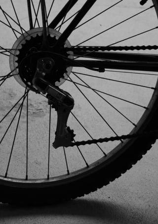 Ii passeio ciclístico da primavera