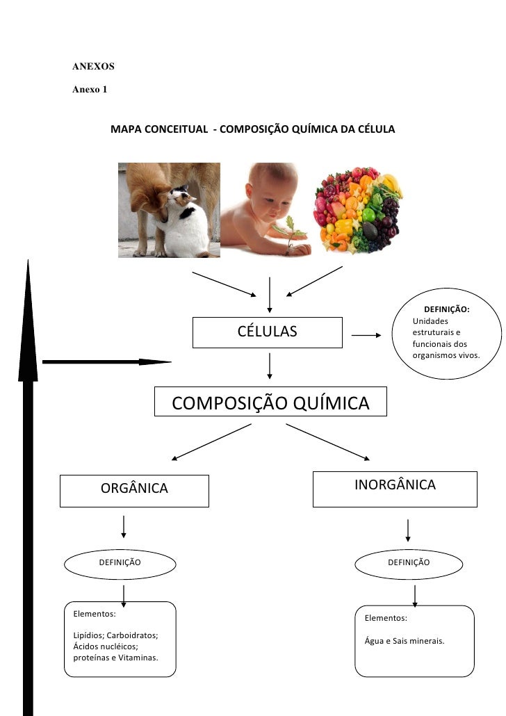 Roteiro plano de aula Roteiro plano de aula