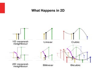 What Happens in 2D
 