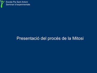 Escola Pia Sant Antoni Seminari d’experimentals Presentació del procés de la Mitosi 