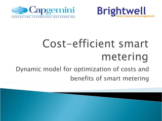 Dynamic model for optimization of costs and benefits of smart metering 