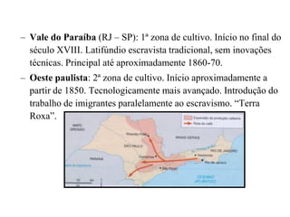 – Vale do Paraíba (RJ – SP): 1ª zona de cultivo. Início no final do
  século XVIII. Latifúndio escravista tradicional, sem inovações
  técnicas. Principal até aproximadamente 1860-70.
– Oeste paulista: 2ª zona de cultivo. Início aproximadamente a
  partir de 1850. Tecnologicamente mais avançado. Introdução do
  trabalho de imigrantes paralelamente ao escravismo. “Terra
  Roxa”.
 