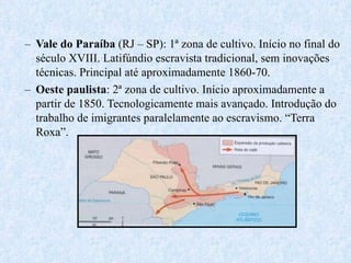 Vale do Paraíba  (RJ – SP): 1ª zona de cultivo. Início no final do século XVIII. Latifúndio escravista tradicional, sem inovações técnicas. Principal até aproximadamente 1860-70. Oeste paulista : 2ª zona de cultivo. Início aproximadamente a partir de 1850. Tecnologicamente mais avançado. Introdução do trabalho de imigrantes paralelamente ao escravismo. “Terra Roxa”. 