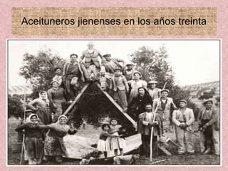 Aceituneros jienenses en los años treinta 