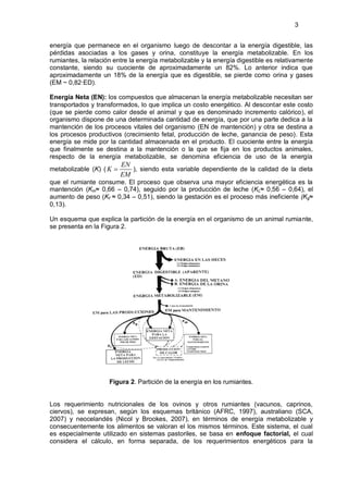 3


energía que permanece en el organismo luego de descontar a la energía digestible, las
pérdidas asociadas a los gases y orina, constituye la energía metabolizable. En los
rumiantes, la relación entre la energía metabolizable y la energía digestible es relativamente
constante, siendo su cuociente de aproximadamente un 82%. Lo anterior indica que
aproximadamente un 18% de la energía que es digestible, se pierde como orina y gases
(EM ~ 0,82·ED).

Energía Neta (EN): los compuestos que almacenan la energía metabolizable necesitan ser
transportados y transformados, lo que implica un costo energético. Al descontar este costo
(que se pierde como calor desde el animal y que es denominado incremento calórico), el
organismo dispone de una determinada cantidad de energía, que por una parte dedica a la
mantención de los procesos vitales del organismo (EN de mantención) y otra se destina a
los procesos productivos (crecimiento fetal, producción de leche, ganancia de peso). Esta
energía se mide por la cantidad almacenada en el producto. El cuociente entre la energía
que finalmente se destina a la mantención o la que se fija en los productos animales,
respecto de la energía metabolizable, se denomina eficiencia de uso de la energía
                         EN
metabolizable (K) ( K       ), siendo esta variable dependiente de la calidad de la dieta
                         EM
que el rumiante consume. El proceso que observa una mayor eficiencia energética es la
mantención (Km≈ 0,66 – 0,74), seguido por la producción de leche (KL≈ 0,56 – 0,64), el
aumento de peso (Kf ≈ 0,34 – 0,51), siendo la gestación es el proceso más ineficiente (Kg≈
0,13).

Un esquema que explica la partición de la energía en el organismo de un animal rumiante,
se presenta en la Figura 2.




                     Figura 2. Partición de la energía en los rumiantes.


Los requerimiento nutricionales de los ovinos y otros rumiantes (vacunos, caprinos,
ciervos), se expresan, según los esquemas británico (AFRC, 1997), australiano (SCA,
2007) y neocelandés (Nicol y Brookes, 2007), en términos de energía metabolizable y
consecuentemente los alimentos se valoran el los mismos términos. Este sistema, el cual
es especialmente utilizado en sistemas pastoriles, se basa en enfoque factorial, el cual
considera el cálculo, en forma separada, de los requerimientos energéticos para la
 