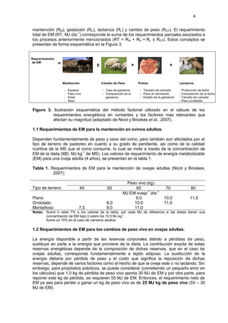 4


mantención (RM), gestación (RG), lactancia (RL) y cambio de peso (RCP). El requerimiento
total de EM (RT, MJ día-1) corresponde la suma de los requerimientos parciales asociados a
los procesos anteriormente mencionados (RT = R M + RG + RL ± RCP). Estos conceptos se
presentan de forma esquemática en la Figura 3.


Requerimientos
de EM            =                     ±                         +                        +


                     Mantención            Cambio de Peso            Preñez                      Lactancia

                      -   Especie          - Tasa de ganancia         - Tamaño de camada         - Producción de leche
                      -   Peso vivo        - Composición de la        - Peso al nacimiento       - Composición de la leche
                      -   Edad               ganancia                 - Estado de la gestación   - Tamaño de camada
                      -   Sexo                                                                   - Peso al destete


Figura 3. Ilustración esquemática del método factorial utilizado en el cálculo de los
          requerimientos energéticos en rumiantes y los factores mas relevantes que
          afectan su magnitud (adaptado de Nicol y Brookes et al., 2007).

1.1 Requerimientos de EM para la mantención en ovinos adultos.

Dependen fundamentalmente de peso y sexo del ovino, pero también son afectados por el
tipo de terreno de pastoreo en cuanto a su grado de pendiente, así como de la calidad
nutritiva de la MS que el ovino consume, lo cual se mide a través de la concentración de
EM de la dieta (MD, MJ kg-1 de MS). Los valores de requerimiento de energía metabolizable
(EM) para una oveja adulta (4 años), se presentan en la tabla 1.

Tabla 1. Requerimientos de EM para la mantención de ovejas adultas (Nicol y Brookes,
          2007).

                                                          Peso vivo (kg)
Tipo de terreno                   40          50              60                        70               80
                                                        MJ EM oveja-1 día-1
Plano                                                        9,0                      10,0              11,0
Ondulado                                      8,0            10,0                     11,0
Montañoso                        7,5          9,0            11,0
Notas: Sume ó reste 7% a los valores de la tabla, por cada MJ de diferencia si las dietas tienen una
       concentración de EM bajo ó sobre los 10,5 MJ kg-1.
       Sume un 15% en el caso de carneros adultos

1.2 Requerimientos de EM para los cambios de peso vivo en ovejas adultas.

La energía disponible a partir de las reservas corporales debido a pérdidas de peso,
sustituye en parte a la energía que proviene de la dieta. La contribución exacta de estas
reservas energéticas depende de la composición de dichas reservas, que en el caso de
ovejas adultas, corresponde fundamentalmente a tejido adiposo. La sustitución de la
energía dietaria por pérdida de peso y el costo que significa la reposición de dichas
reservas, depende de varios factores como el hecho de que la oveja este o no lactando. Sin
embargo, para propósitos prácticos, se puede considerar (cometiendo un pequeño error en
los cálculos) que 1,0 kg de pérdida de peso vivo aporta 30 MJ de EM y por otra parte, para
reponer este kg de pérdida, se requieren 55 MJ de EM. Entonces, el requerimiento neto de
EM ya sea para perder o ganar un kg de peso vivo es de 25 MJ kg de peso vivo (55 – 30
MJ de EM).
 