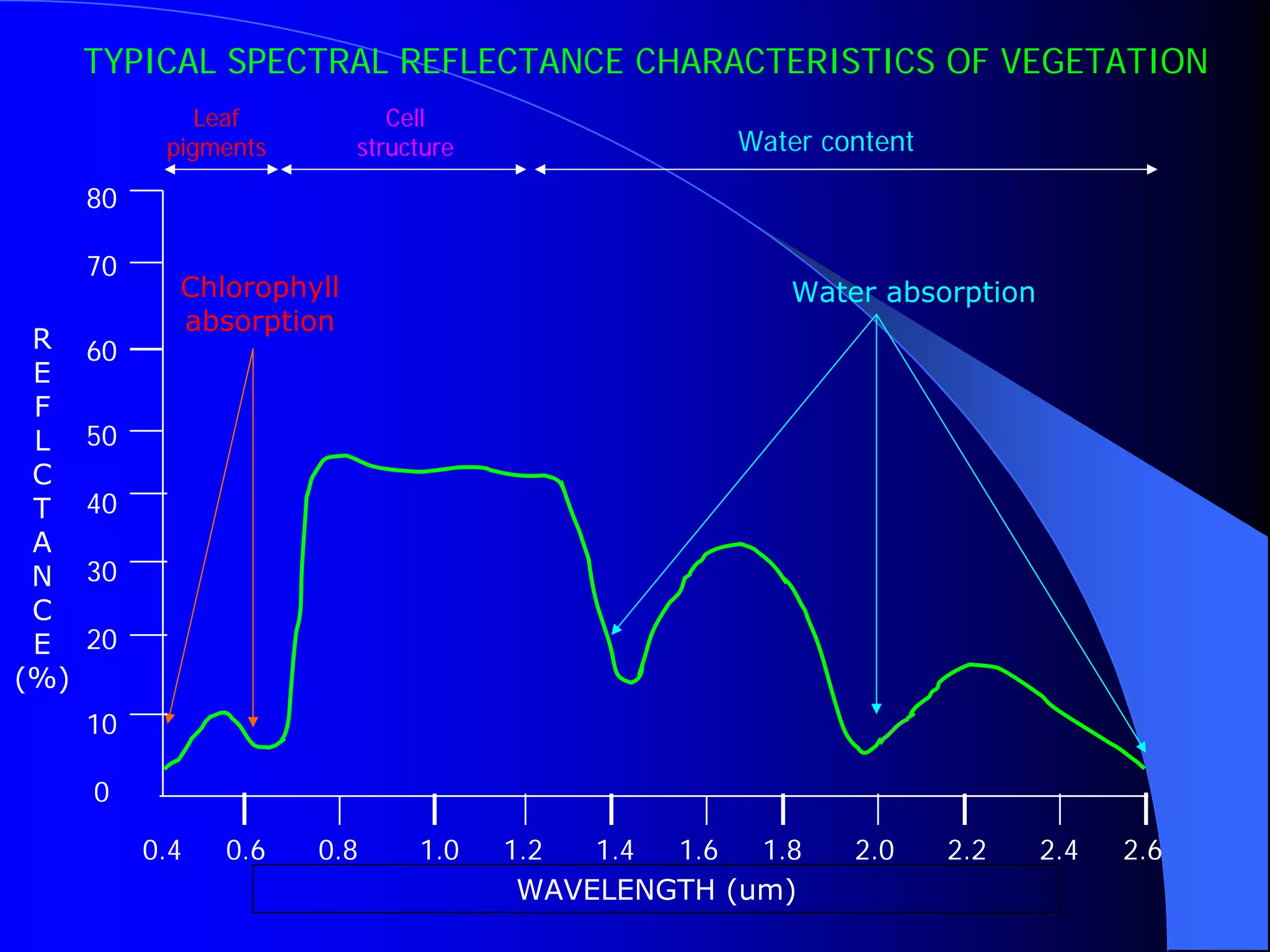 TYPICAL SPECTRAL REFLECTANCE CHARACTERISTICS OF VEGETATION
               Leaf           Cell
            pigments       structure                Water content

      80

      70
             Chlorophyll                               Water absorption
             absorption
 R    60
 E
 F
 L    50
 C
 T    40
 A
 N    30
 C
 E    20
(%)
      10

      0

           0.4   0.6   0.8      1.0    1.2  1.4 1.6  1.8    2.0     2.2   2.4   2.6
                                        WAVELENGTH (um)
 