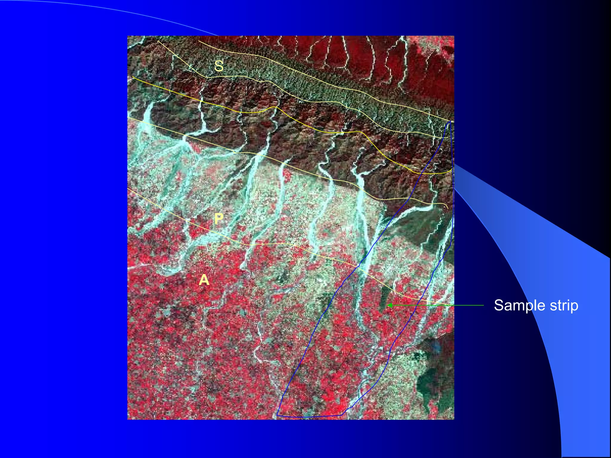 S




    P



A
        Sample strip
 