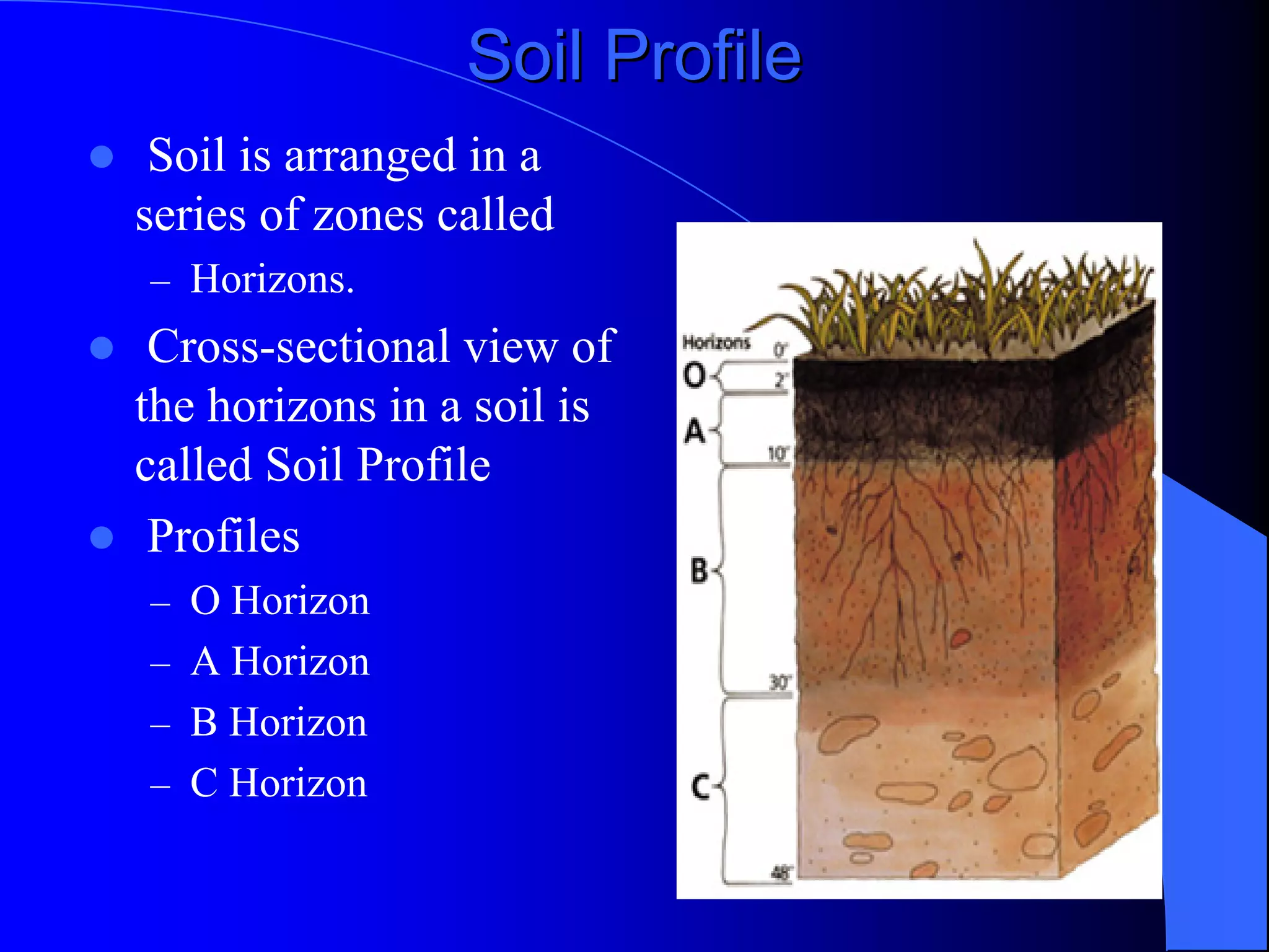 Soil Profile
 Soil is arranged in a
series of zones called
– Horizons.
 Cross-sectional view of
the horizons in a soil is
called Soil Profile
 Profiles
– O Horizon
– A Horizon
– B Horizon
– C Horizon
 